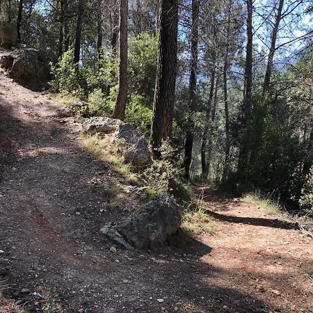 Casas Rurales Arroyo De La Sierra Yeste Exteriör bild